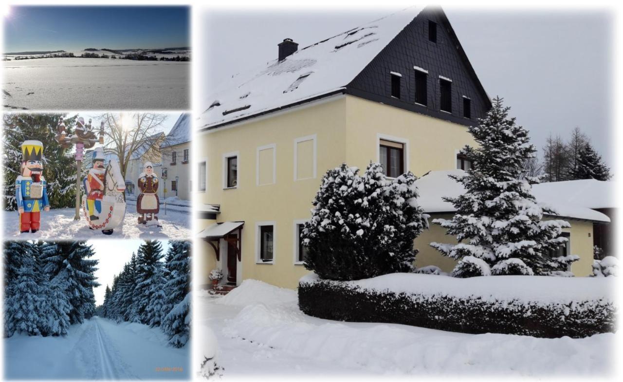 Ferienwohnung Floehatalblick Olbernhau Dış mekan fotoğraf